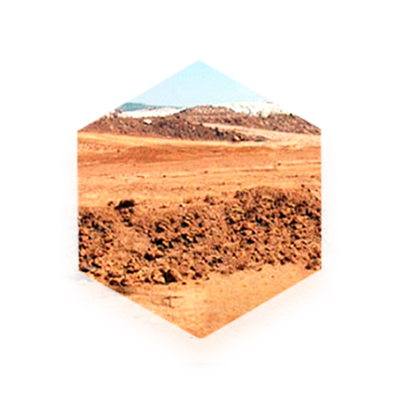 汕尾制造液态硫酸锌厂家