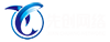 网站用.png